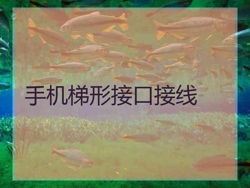 手机梯形接口接线