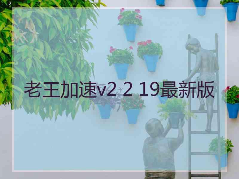 老王加速v2 2 19最新版