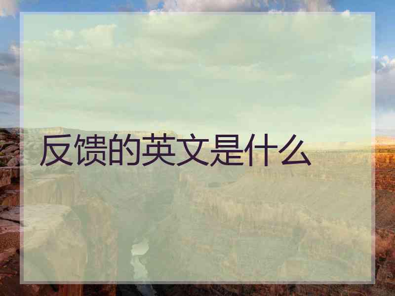 反馈的英文是什么