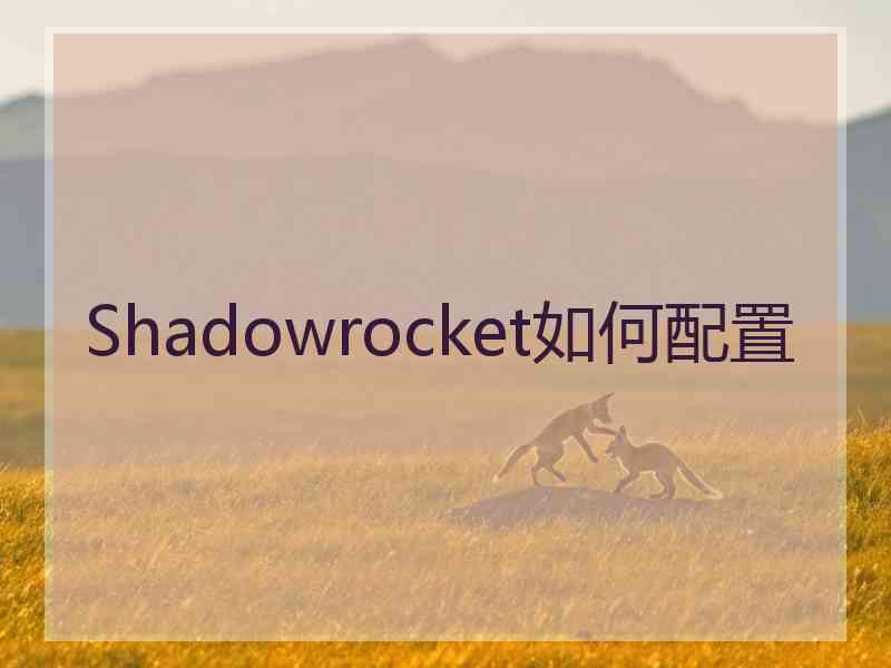 Shadowrocket如何配置