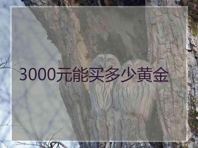 3000元能买多少黄金