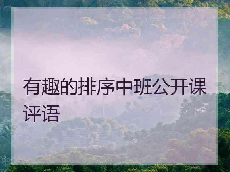 有趣的排序中班公开课评语