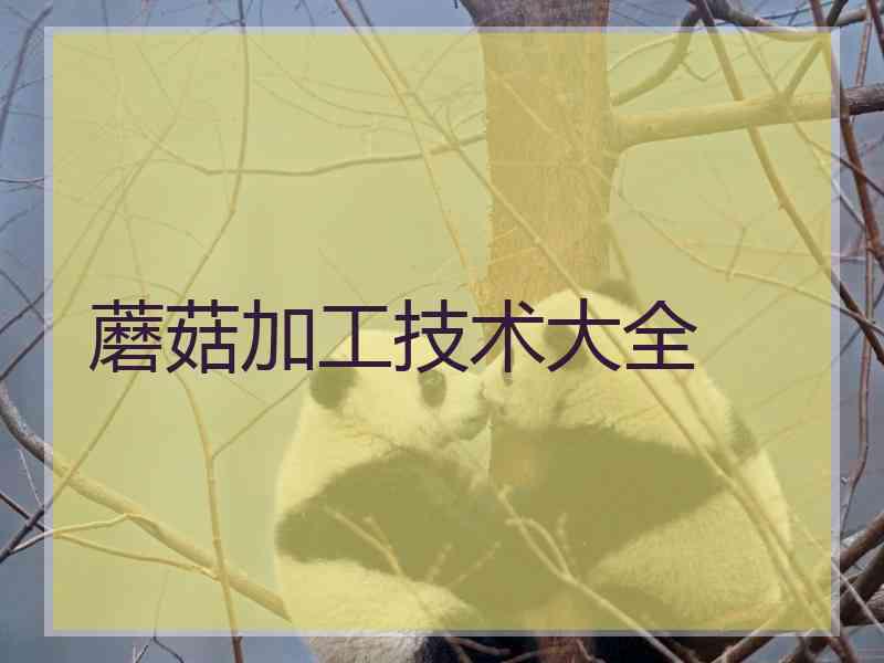 蘑菇加工技术大全