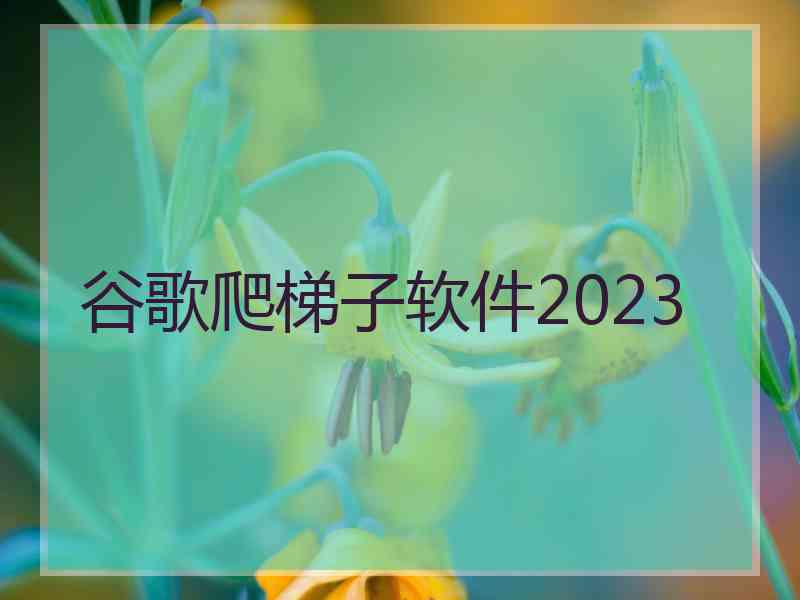 谷歌爬梯子软件2023