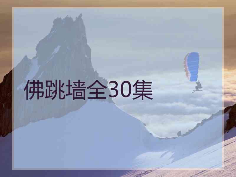 佛跳墙全30集