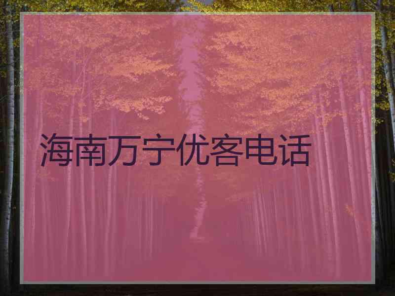 海南万宁优客电话