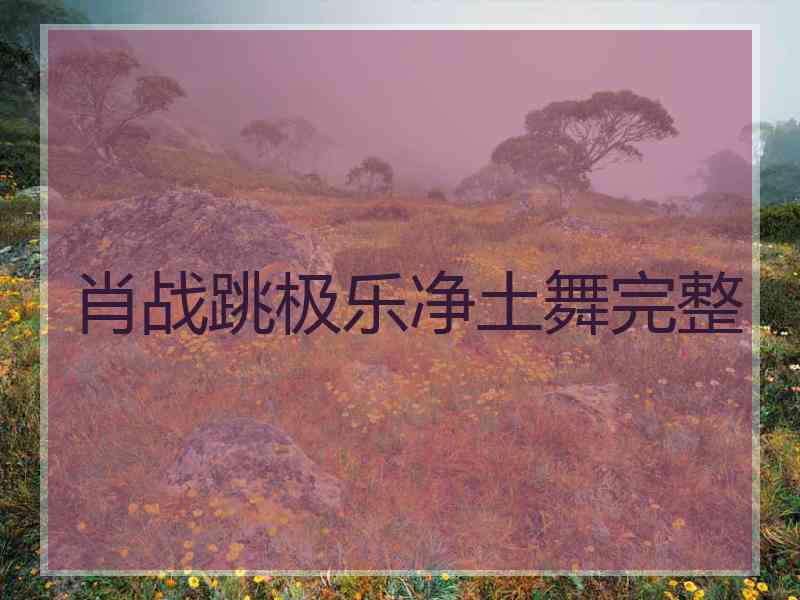 肖战跳极乐净土舞完整