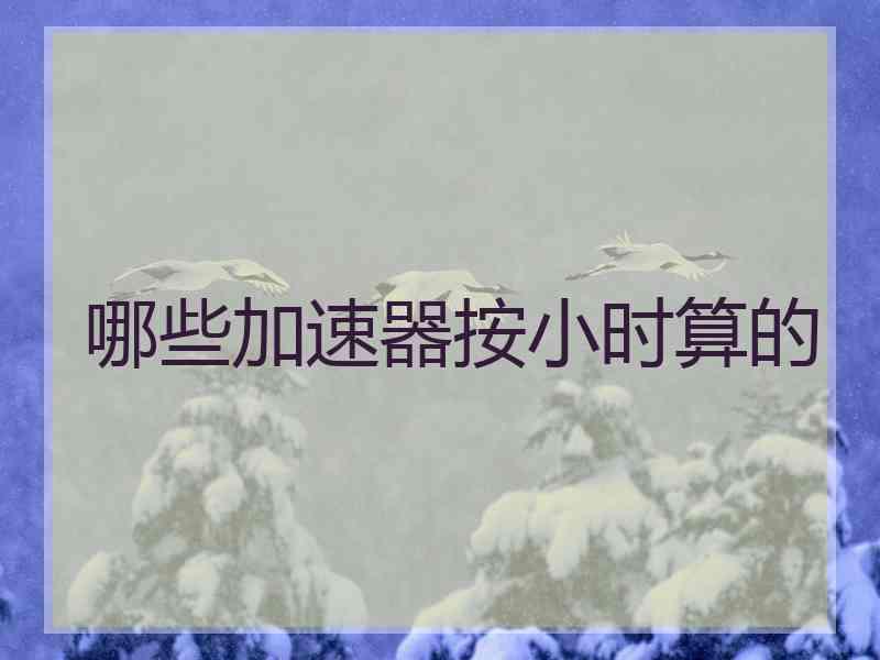 哪些加速器按小时算的