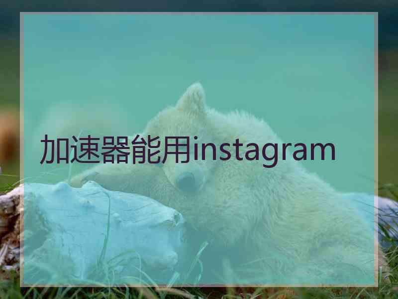 加速器能用instagram