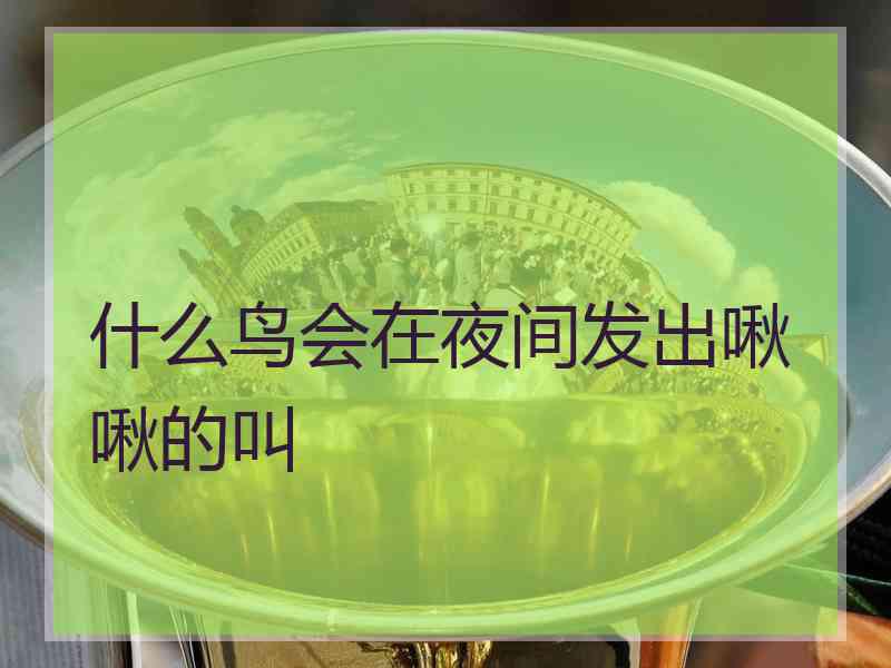 什么鸟会在夜间发出啾啾的叫