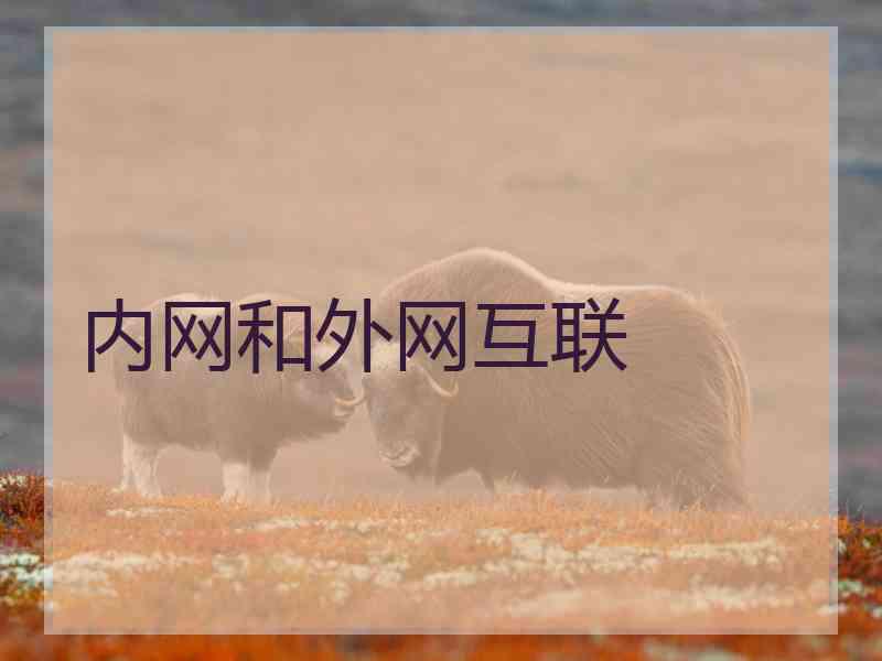内网和外网互联
