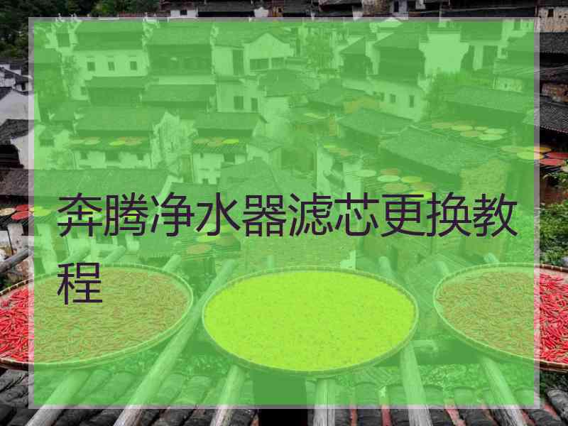 奔腾净水器滤芯更换教程