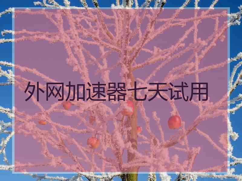 外网加速器七天试用