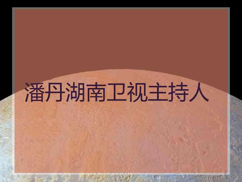 潘丹湖南卫视主持人