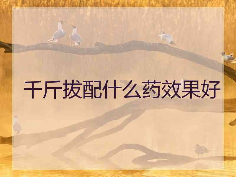 千斤拔配什么药效果好