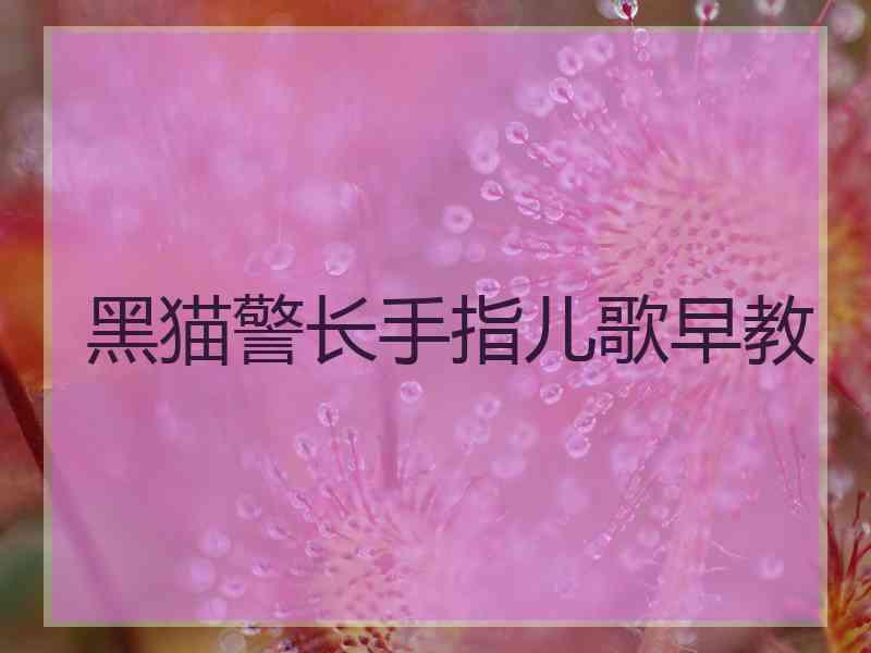 黑猫警长手指儿歌早教