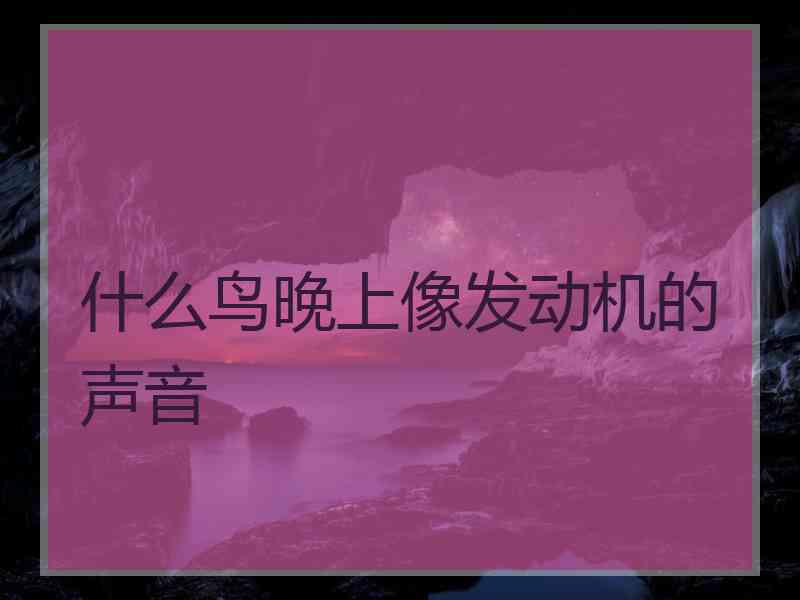 什么鸟晚上像发动机的声音