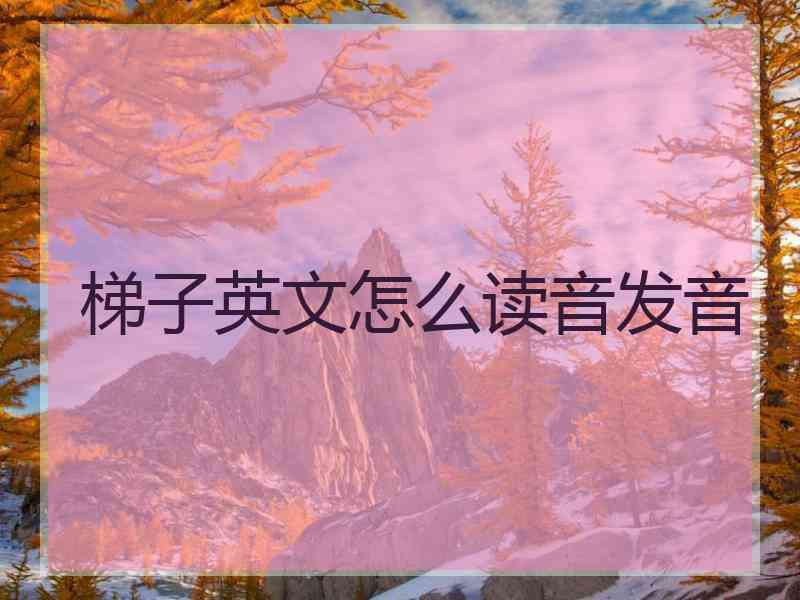 梯子英文怎么读音发音