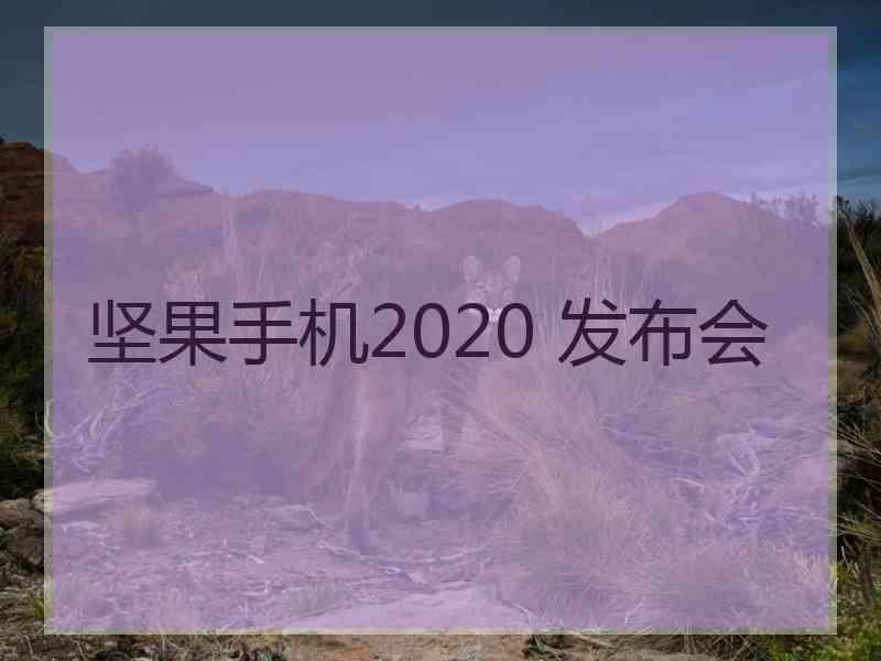 坚果手机2020 发布会