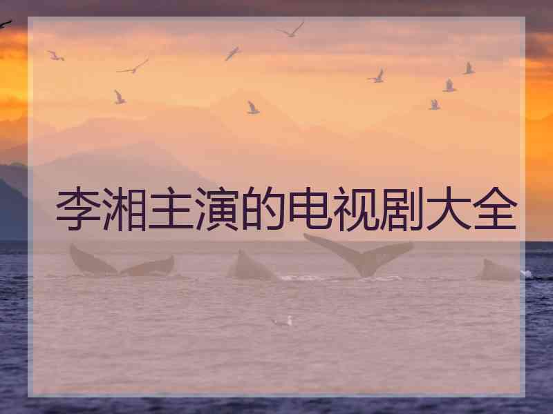 李湘主演的电视剧大全