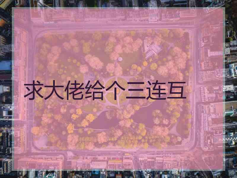 求大佬给个三连互