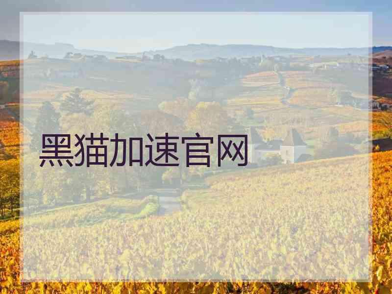 黑猫加速官网