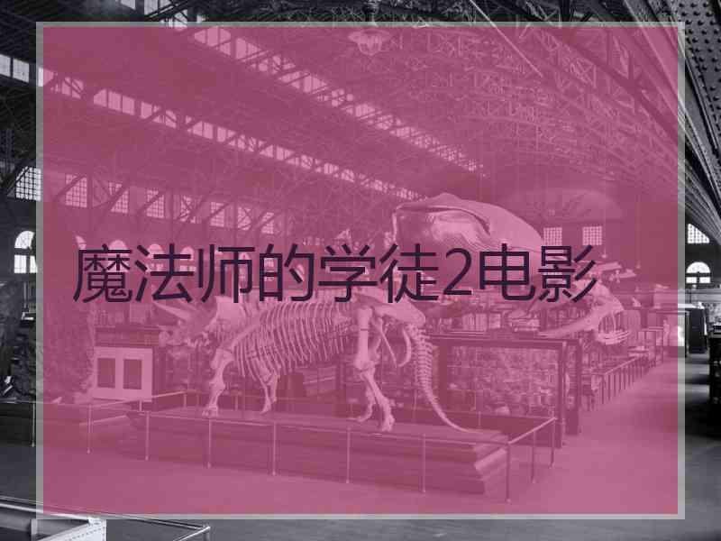 魔法师的学徒2电影