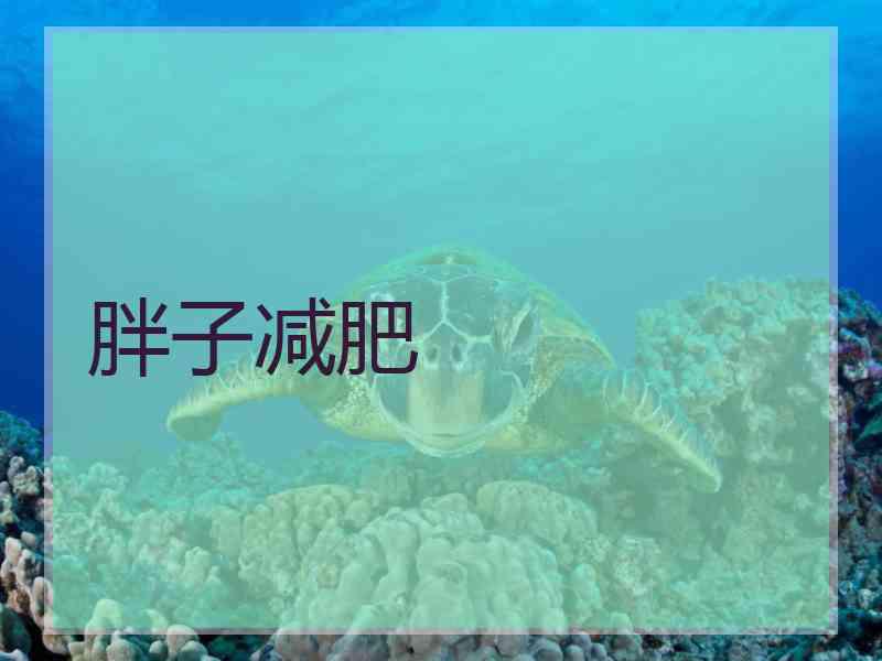 胖子减肥