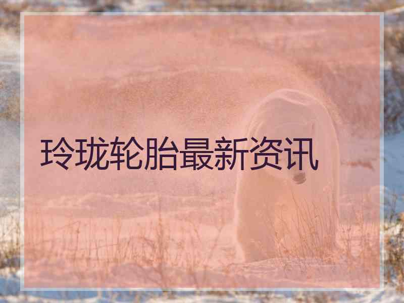 玲珑轮胎最新资讯