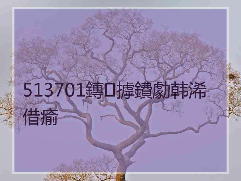 513701鏄摢鐨勮韩浠借瘉