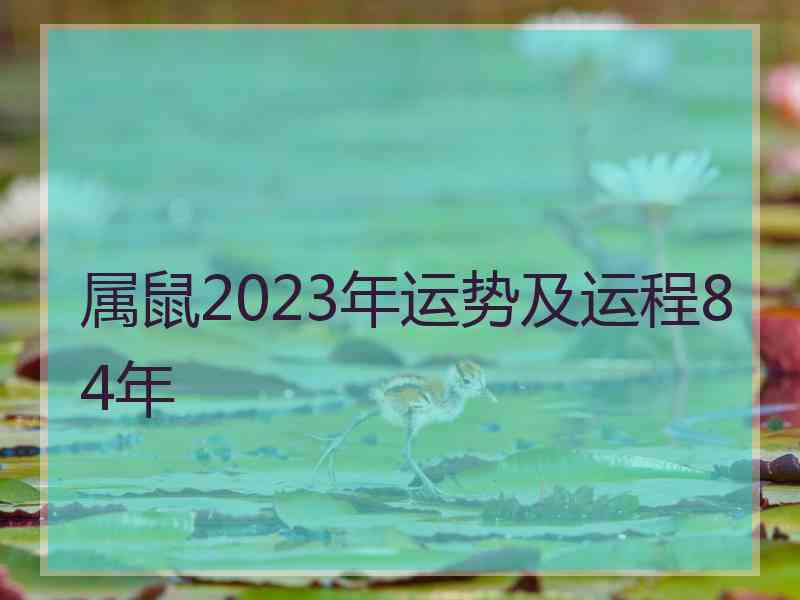 属鼠2023年运势及运程84年