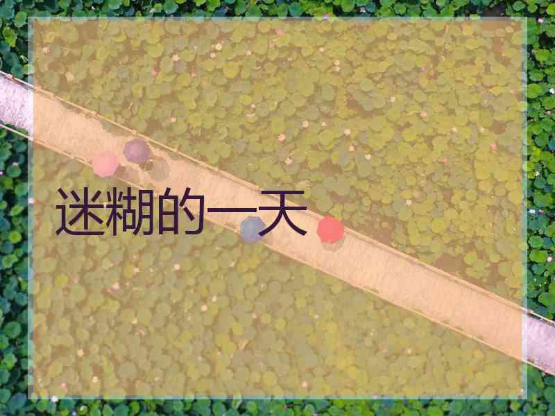 迷糊的一天