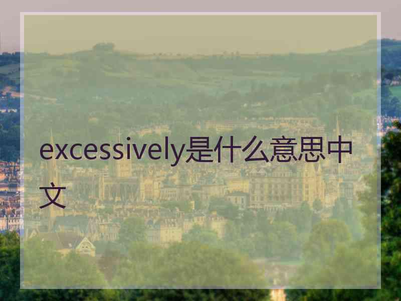 excessively是什么意思中文