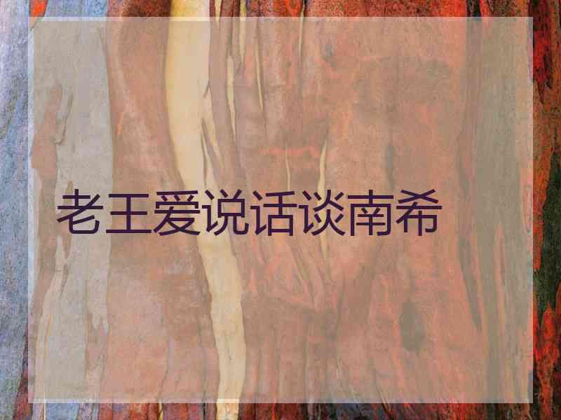 老王爱说话谈南希
