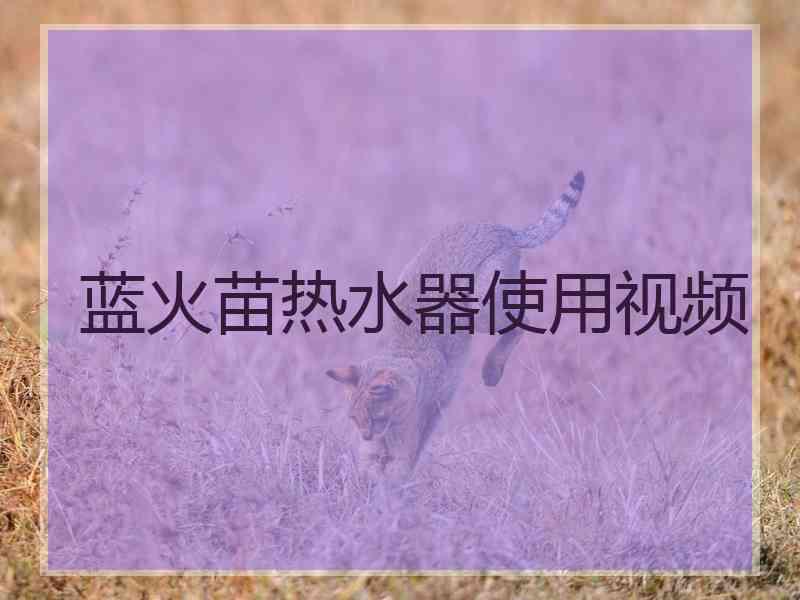 蓝火苗热水器使用视频