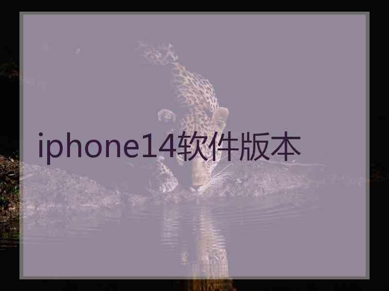 iphone14软件版本