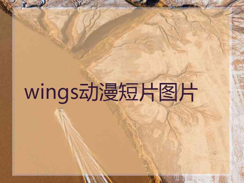 wings动漫短片图片