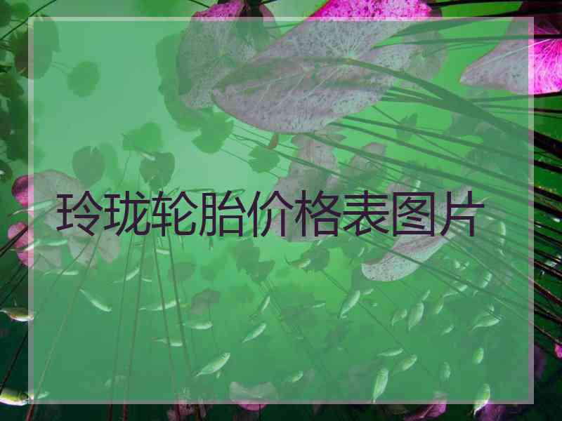玲珑轮胎价格表图片