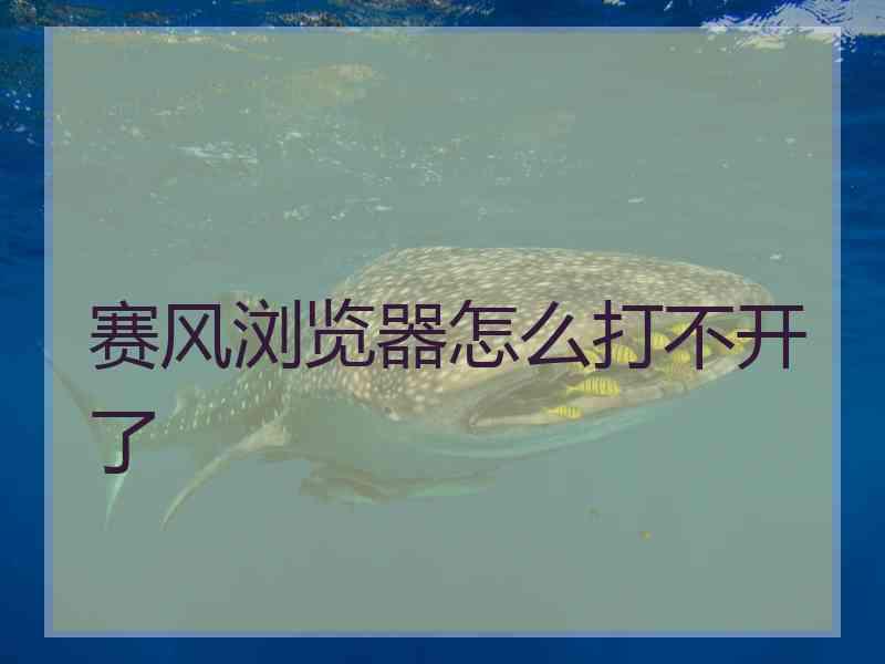 赛风浏览器怎么打不开了