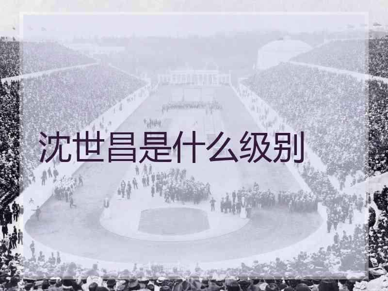 沈世昌是什么级别