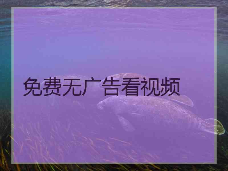 免费无广告看视频