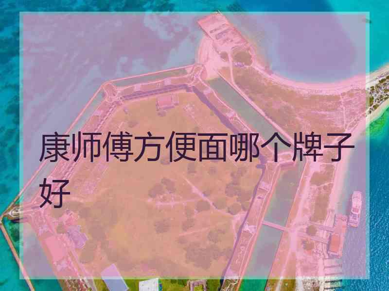 康师傅方便面哪个牌子好