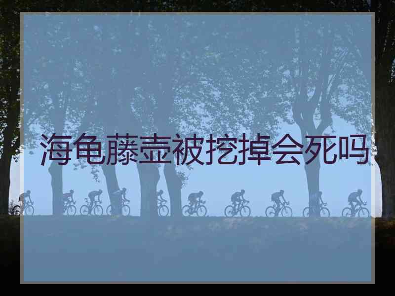 海龟藤壶被挖掉会死吗