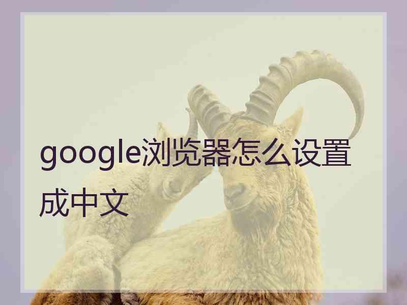 google浏览器怎么设置成中文