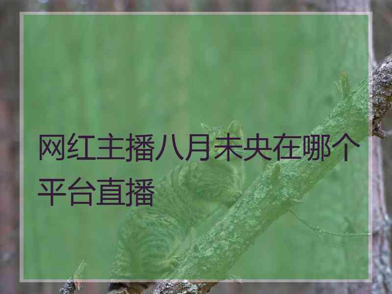 网红主播八月未央在哪个平台直播