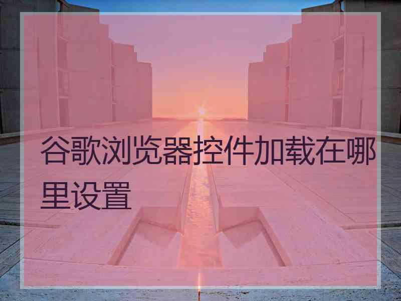 谷歌浏览器控件加载在哪里设置