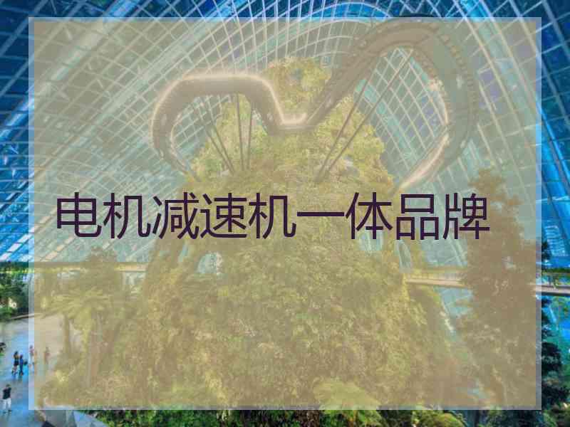 电机减速机一体品牌