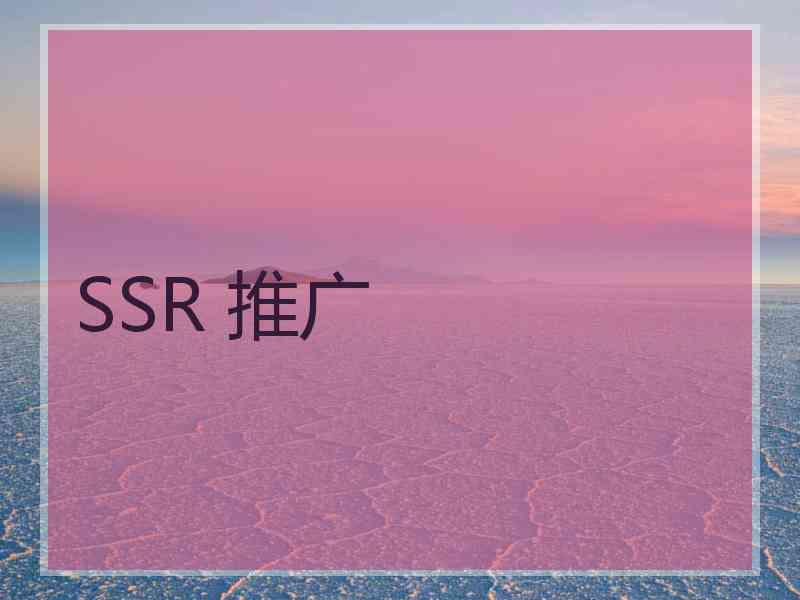 SSR 推广