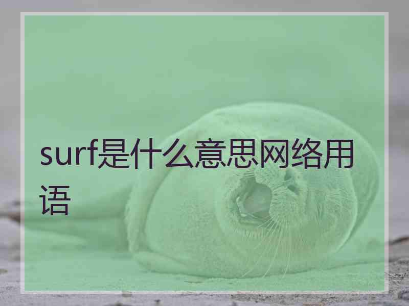 surf是什么意思网络用语
