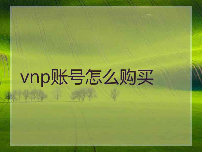 vnp账号怎么购买